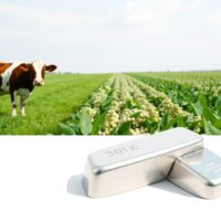 Feeder cattle, soybeans, and silver represent contrasting commodity market trends