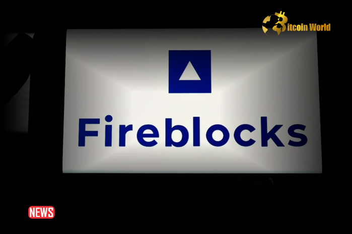 Fireblocks Launches Web3 Startup Toolkit Amid A Surge In New Ventures