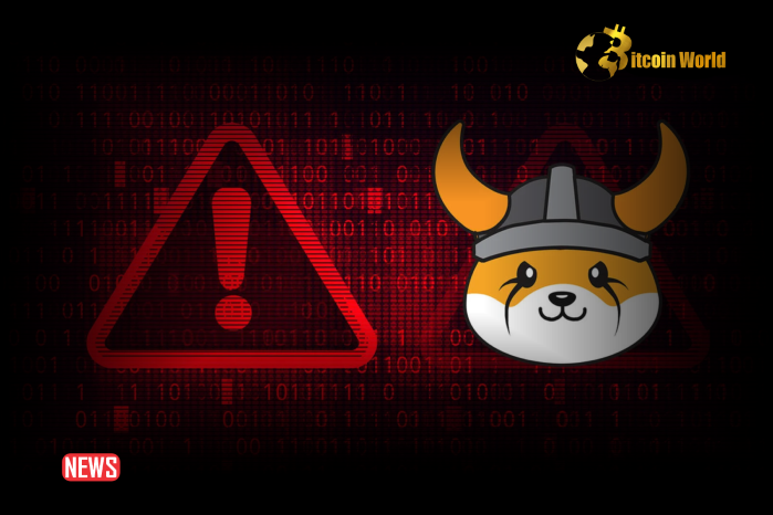 Floki Inu Warns Against Scam Tokens on Solana and Base