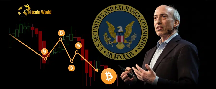 SEC’s ‘one-dimensional’ approach is slowing Bitcoin progress: Grayscale CEO