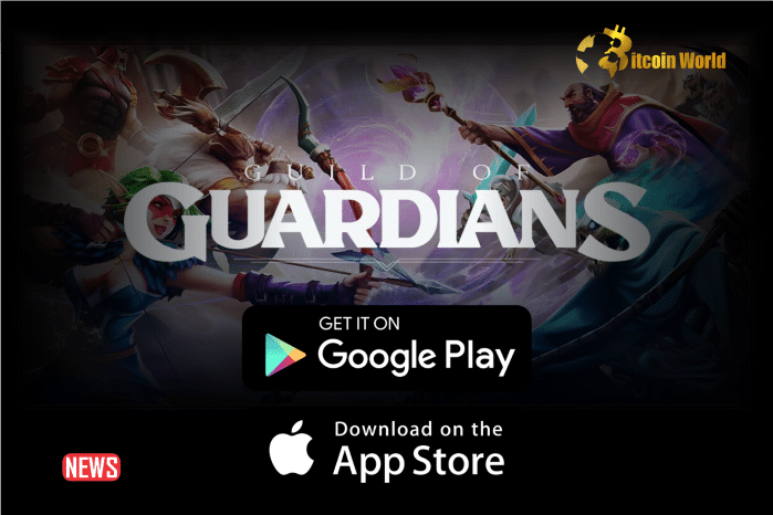 Polygon Backed Game ‘Guild of Guardians’ Now Available On Play Store And App Store
