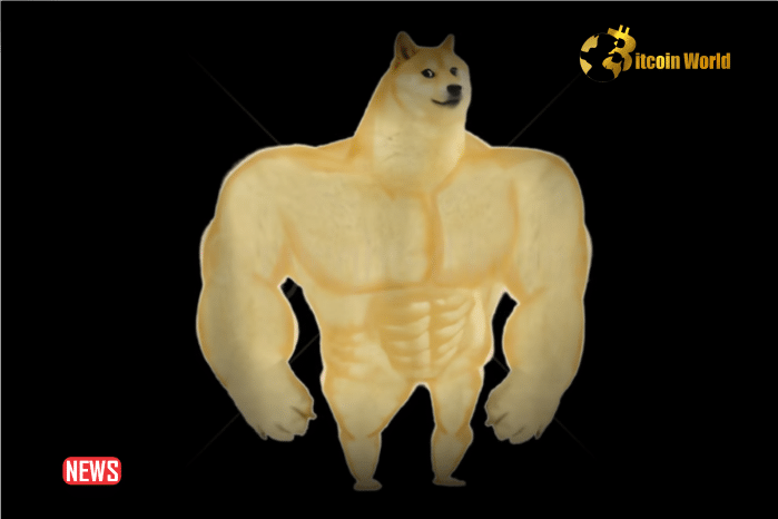 Gym Doge (GYMDOGE) Prepares for Massive Rally as it Challenges Shiba Inu and Dogecoin