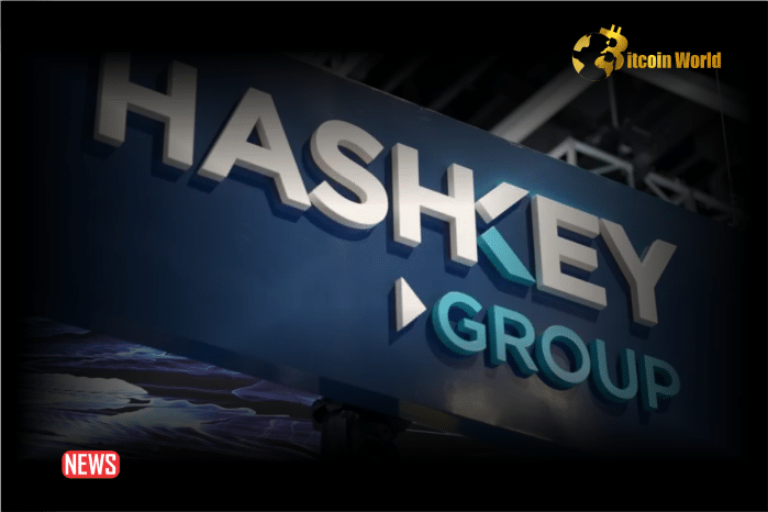 HashKey Group Starts Crypto Exchange In Bermuda After Winning License