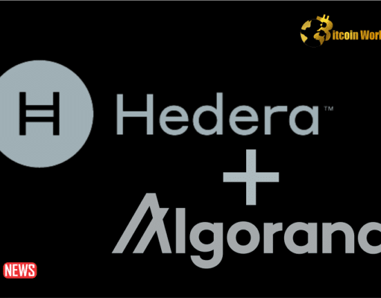 Hedera And Algorand Collaborate On Decentralized System For Wallet Recovery