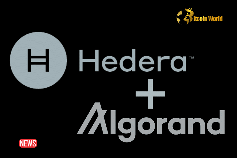 Hedera And Algorand Collaborate On Decentralized System For Wallet Recovery
