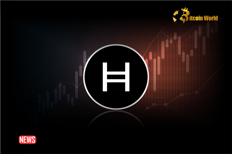 Hedera (HBAR) Price Increased More Than 4% Within 24 hours