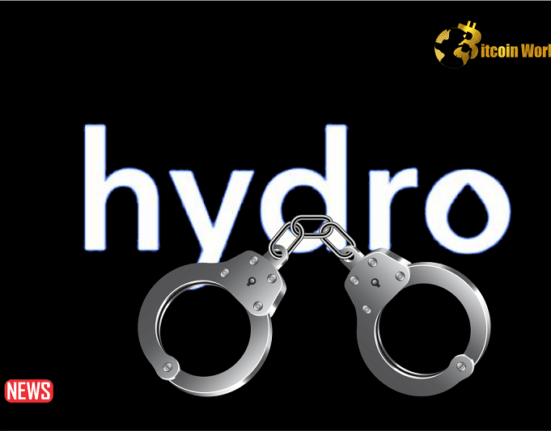 Manipulator Of Hydro Crypto Token Price Gets Jail Term
