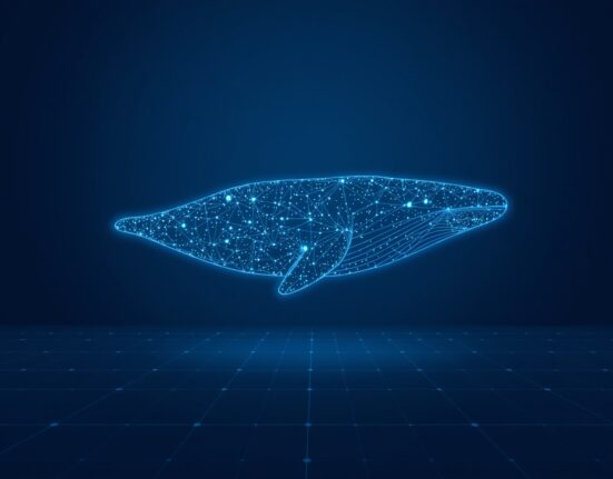 A crypto whale represented by data streams makes a high-stakes HYPE short position trade on Hyperliquid.