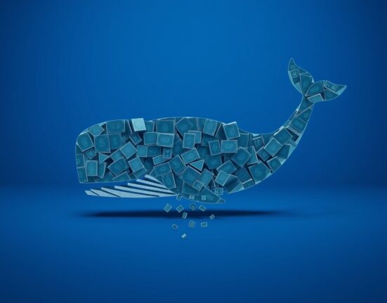 Analysis of the Hyperliquid attack showing a digital whale symbolizing the entity behind the FARTCOIN liquidation.