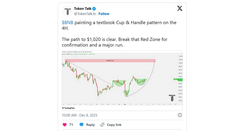 Cardano and Binance Coin Face Drop in Bullish Momentum Amid Market Panic, But Digitap Emerges as the Safer High-Growth Bet For 100x Returns