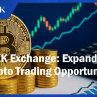 XXKK Exchange Sees Growing Demand from NFT Trader as Meme Coins & Altcoins Rise