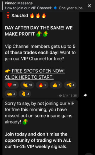 TurtleForexPro Telegram Channel Review