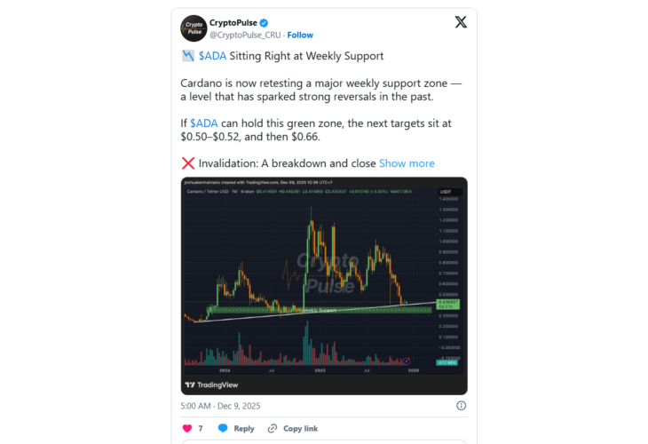 Cardano and Binance Coin Face Drop in Bullish Momentum Amid Market Panic, But Digitap Emerges as the Safer High-Growth Bet For 100x Returns