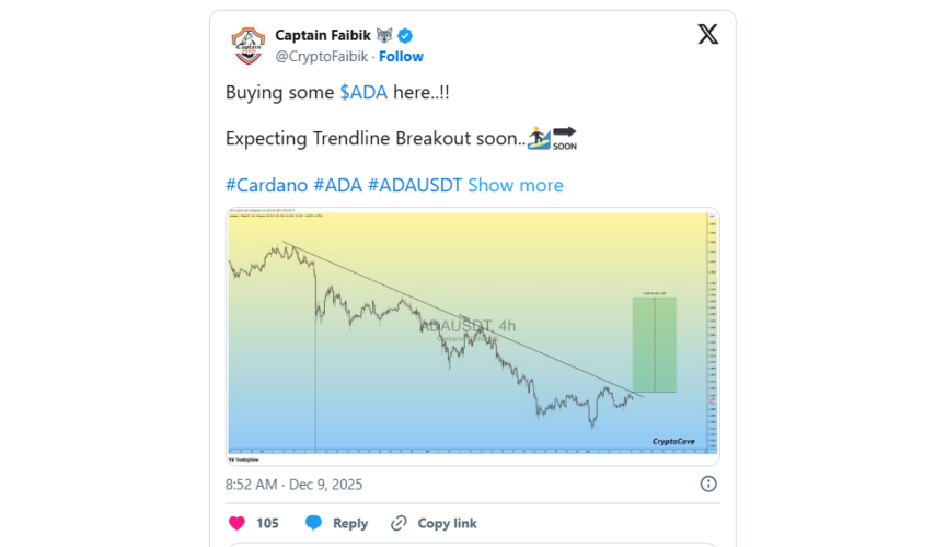 Cardano and Binance Coin Face Drop in Bullish Momentum Amid Market Panic, But Digitap Emerges as the Safer High-Growth Bet For 100x Returns