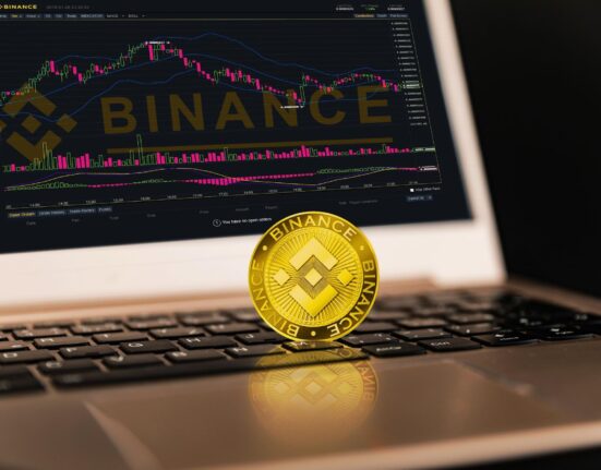 BNB Looks Bearish At $984 And LINK Shows Weakness At $23 While Digitap Enjoys Analyst 20x Forecast