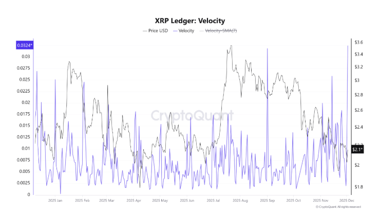 Why XRP's December Recovery May Be at Risk — Digitap ($TAP) is the Best Crypto to Buy Instead