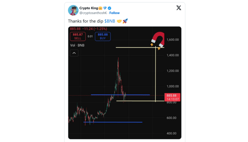 Cardano and Binance Coin Face Drop in Bullish Momentum Amid Market Panic, But Digitap Emerges as the Safer High-Growth Bet For 100x Returns