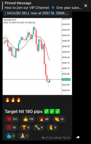 TurtleForexPro Telegram Channel Review 