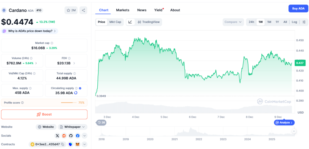 Cardano and Binance Coin Face Drop in Bullish Momentum Amid Market Panic, But Digitap Emerges as the Safer High-Growth Bet For 100x Returns