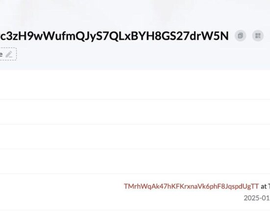 Justin Sun Explains USDD 2.0 in a Live Stream, Highlights HTX's Unique Edge