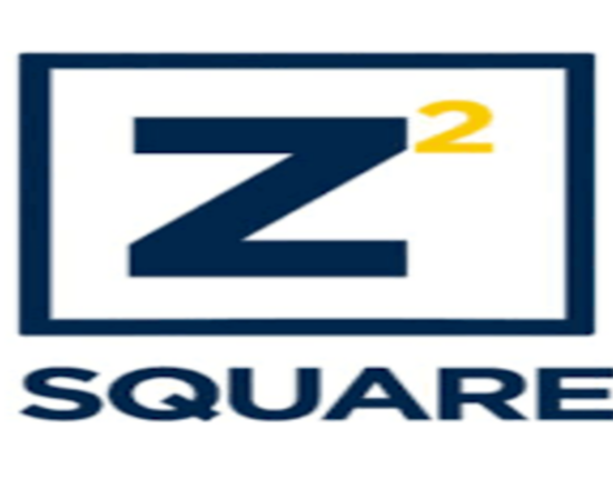 Z Squared CEO to Shareholders: "The Scarcest Thing in AI is Not Chips. It is Power."
