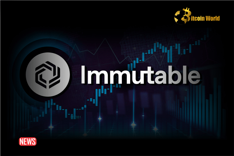 The Price Of Immutable (IMX) Rises More Than 4% In 24 Hours