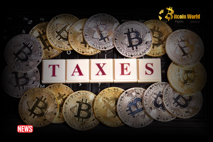 New Rules On Taxes For Crypto: The IRS Simplifies The Income Tax Return