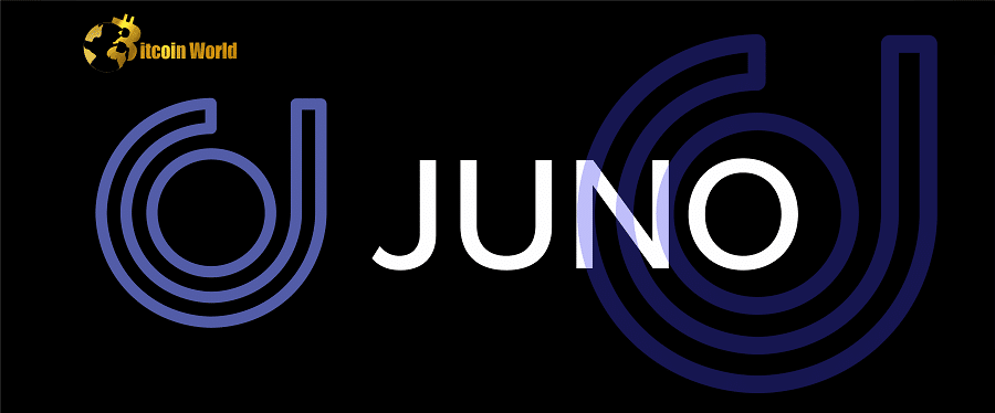 Crypto Bank Juno Resumes Services After Pause