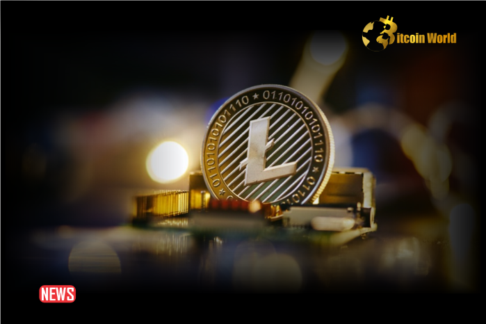 Is Litecoin (LTC) Price Likely To Decline To $63? Breaking Down The Odds