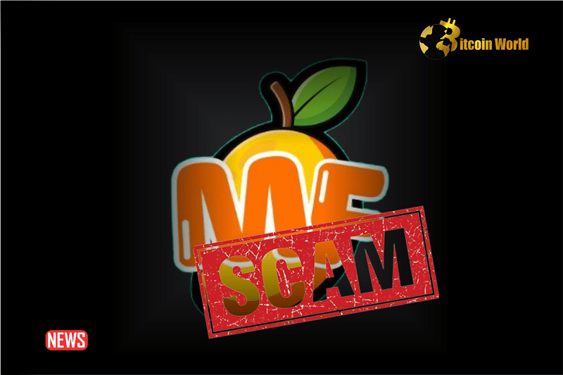 Beware! The Developer Behind Mangofarm on Solana Network Is A Serial Scammer