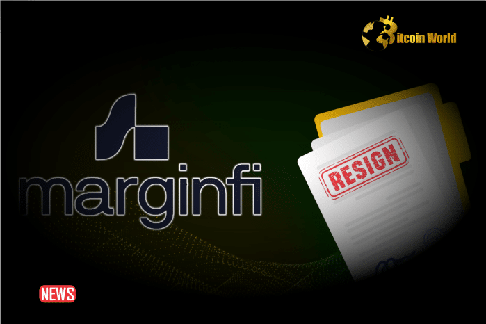 MarginFi CEO Resigns As Solana Lending Platform Faces Internal Woes