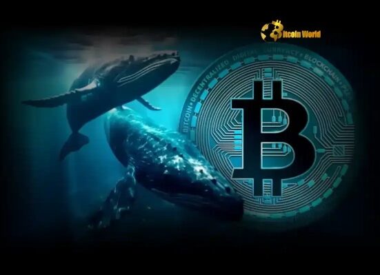 Massive Bitcoin Whales Accumulate 79K BTC: A Powerful Signal for the Market