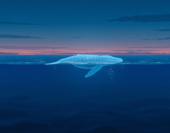 Analysis of a Matrixport-linked cryptocurrency whale's $22 million paper profit from Ethereum