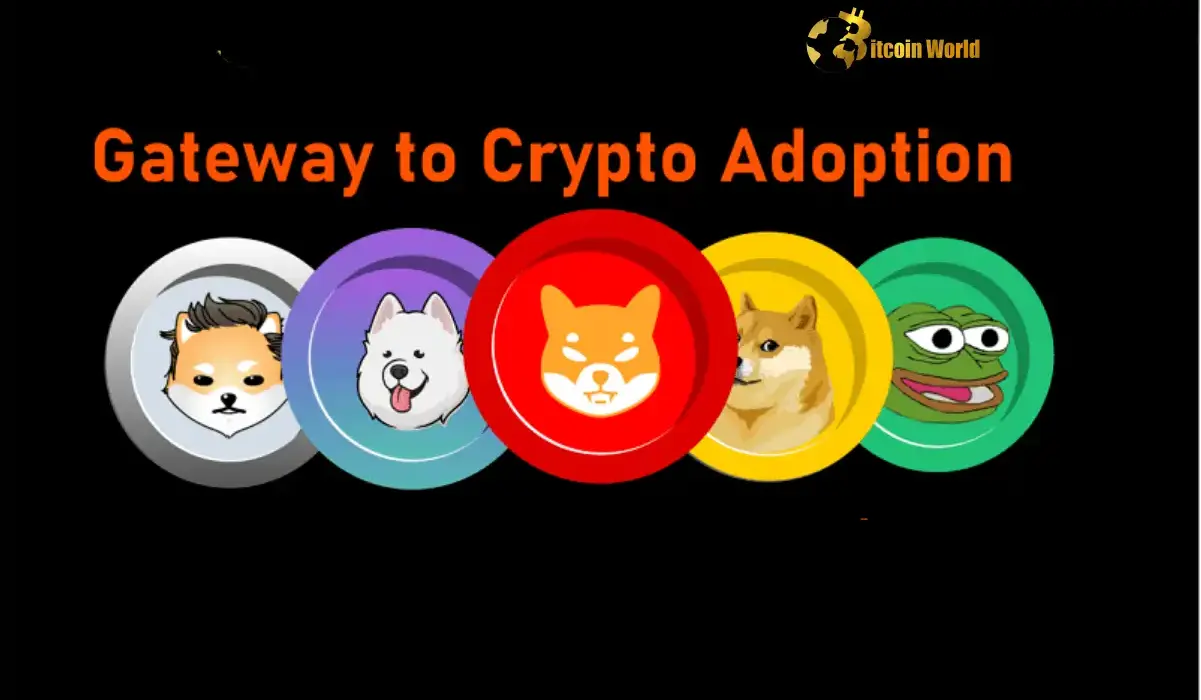 Memecoins A Surprising New Gateway to Crypto Adoption