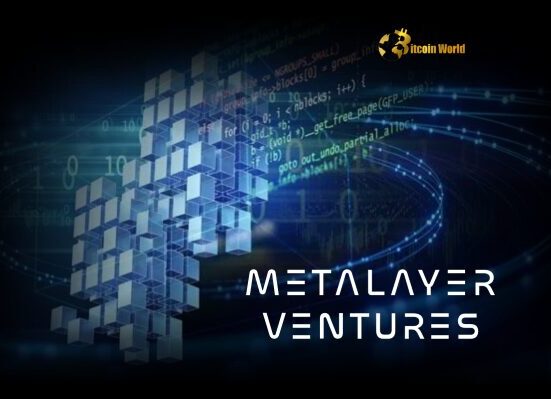 Metalayer Ventures Unleashes $25M Fund to Accelerate Blockchain Startups