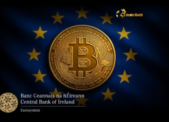 MiCA Regulation: Crucial Clarity from Central Bank of Ireland on Bitcoin, Ethereum