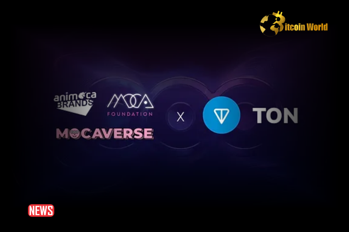 Mocaverse, Animoca's MOCA Foundation, and TON Foundation Ink Strategic Partnership