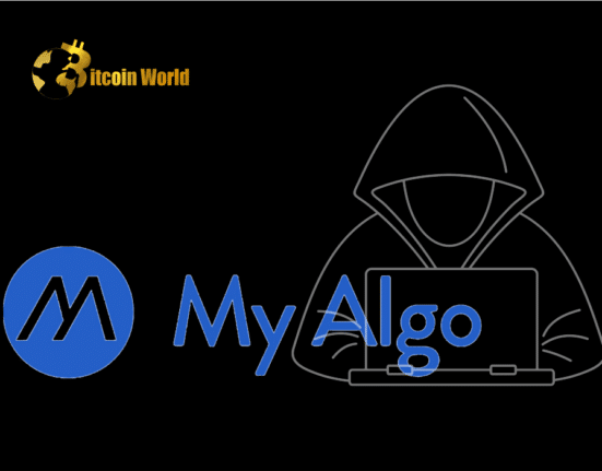 MyAlgo Users Urged to Withdraw as Cause of $9.2M Hack Remains Unknown