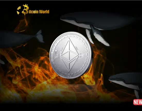 Decoding the Whale: $505 Million Ethereum Transfer Sparks Crypto Market Buzz