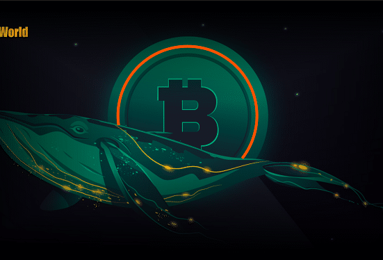 Mysterious Bitcoin Whale Moves 412 $BTC After Being Dormant for Over a Decade