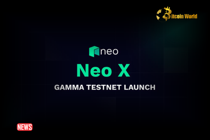 Neo Launches Neo X Gamma TestNet