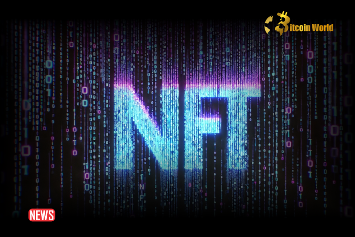 Solana 的 DogeZuki 佔據每日 NFT 市場榜首