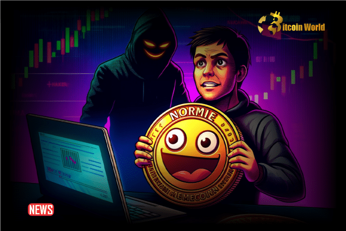 Trader Loses Over $1 Million in Normie Meme Coin Exploit