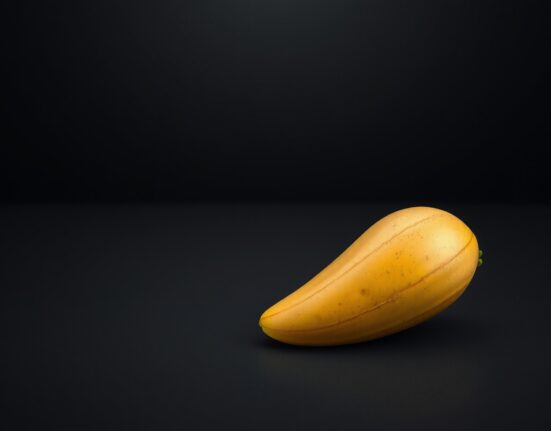 A single ripe mango on a dark tabletop, symbolizing the new MANGOS tech acronym.