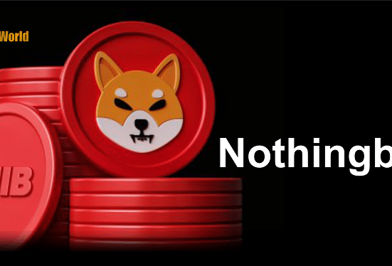 Lead Shiba Inu Developer Apologizes as Countdown Ends Up Being Nothingburger