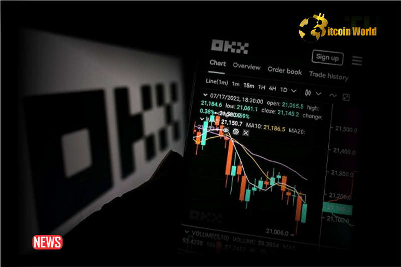OKX Launches A Crypto Exchange And Web3 Wallet In Brazil