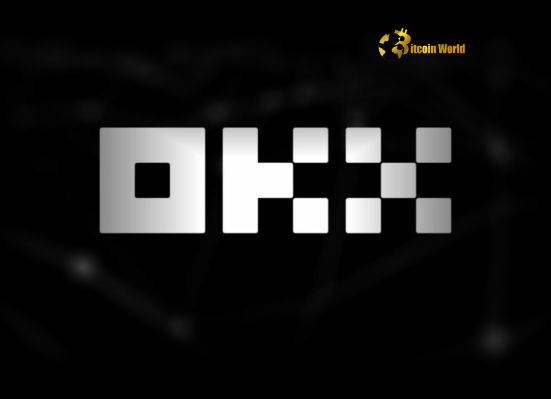 OKX Dominates Crypto Exchange Inflows A Powerful Sign of Confidence