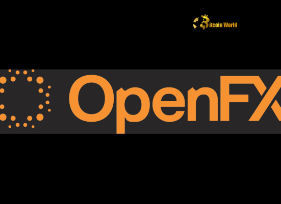 OpenFX Secures $23M to Power Stablecoin Conversion for Global Payments