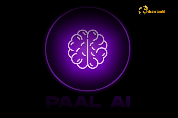 Paal AI Crypto: Everything You Need to Know About This Innovative Blockchain Integration