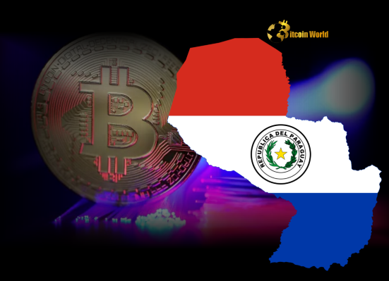 Paraguay Unveils Bold Plan for Bitcoin Legal Tender